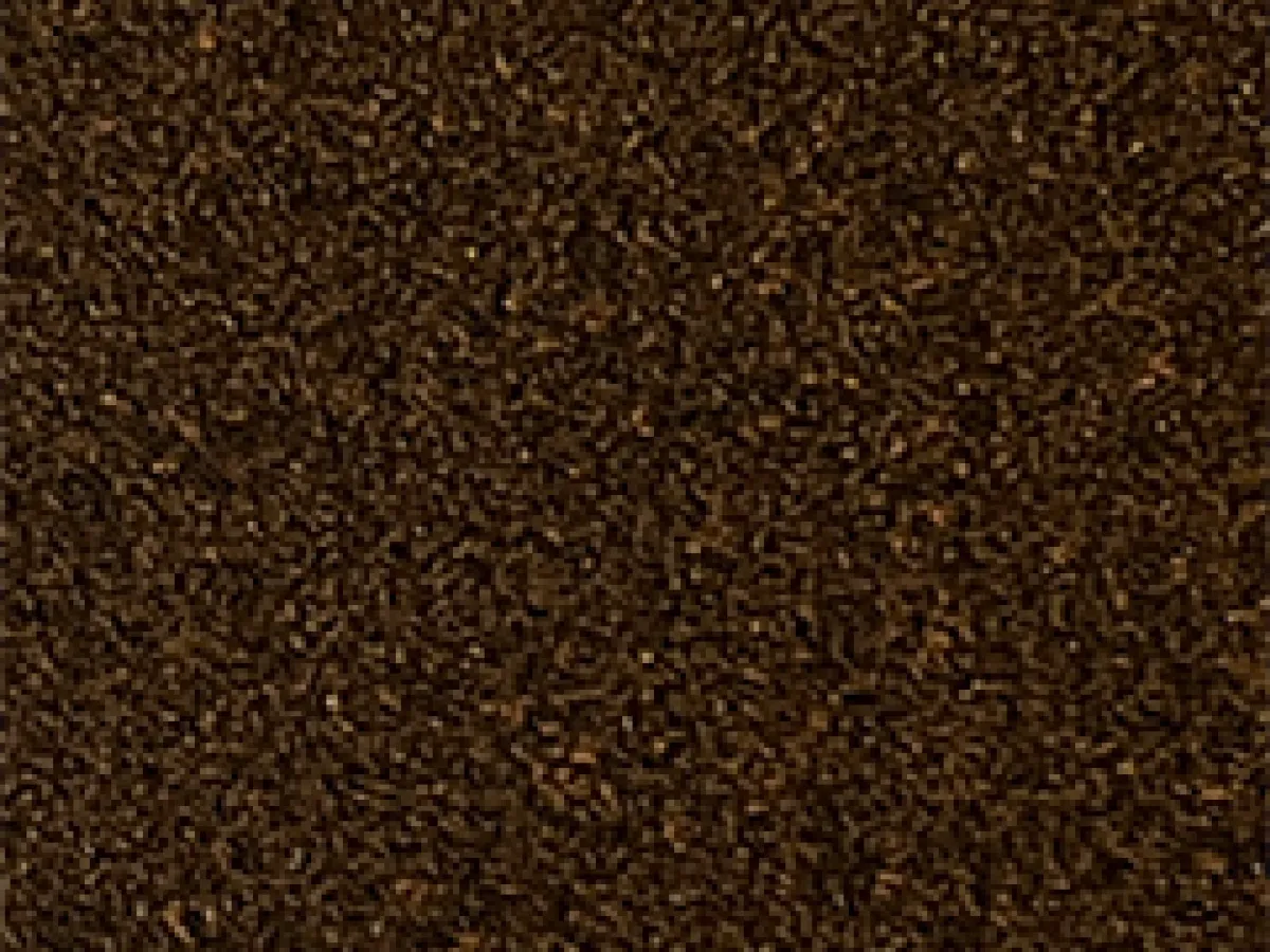 Corten